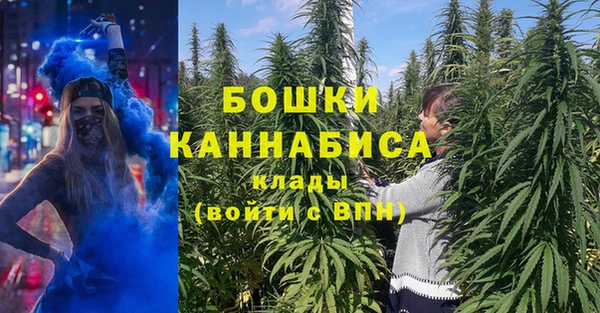 дурь Нягань