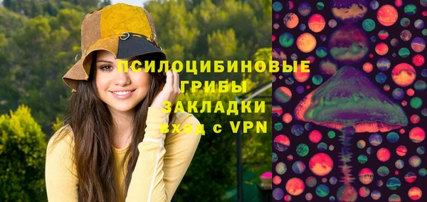дурь Нягань
