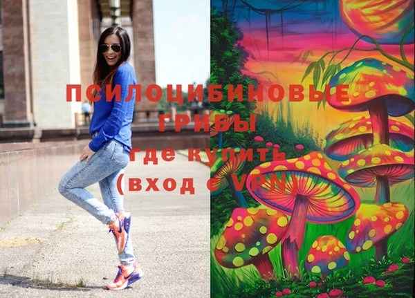 дурь Нягань