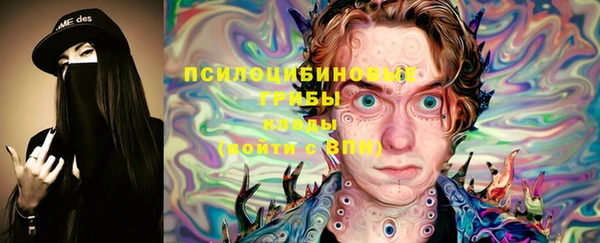 ALPHA PVP Нязепетровск